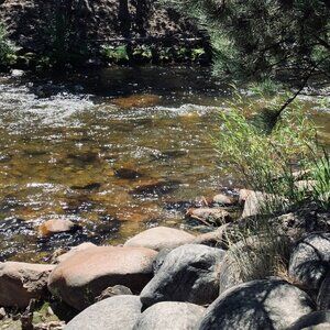 Meet your Posher, Lizzie